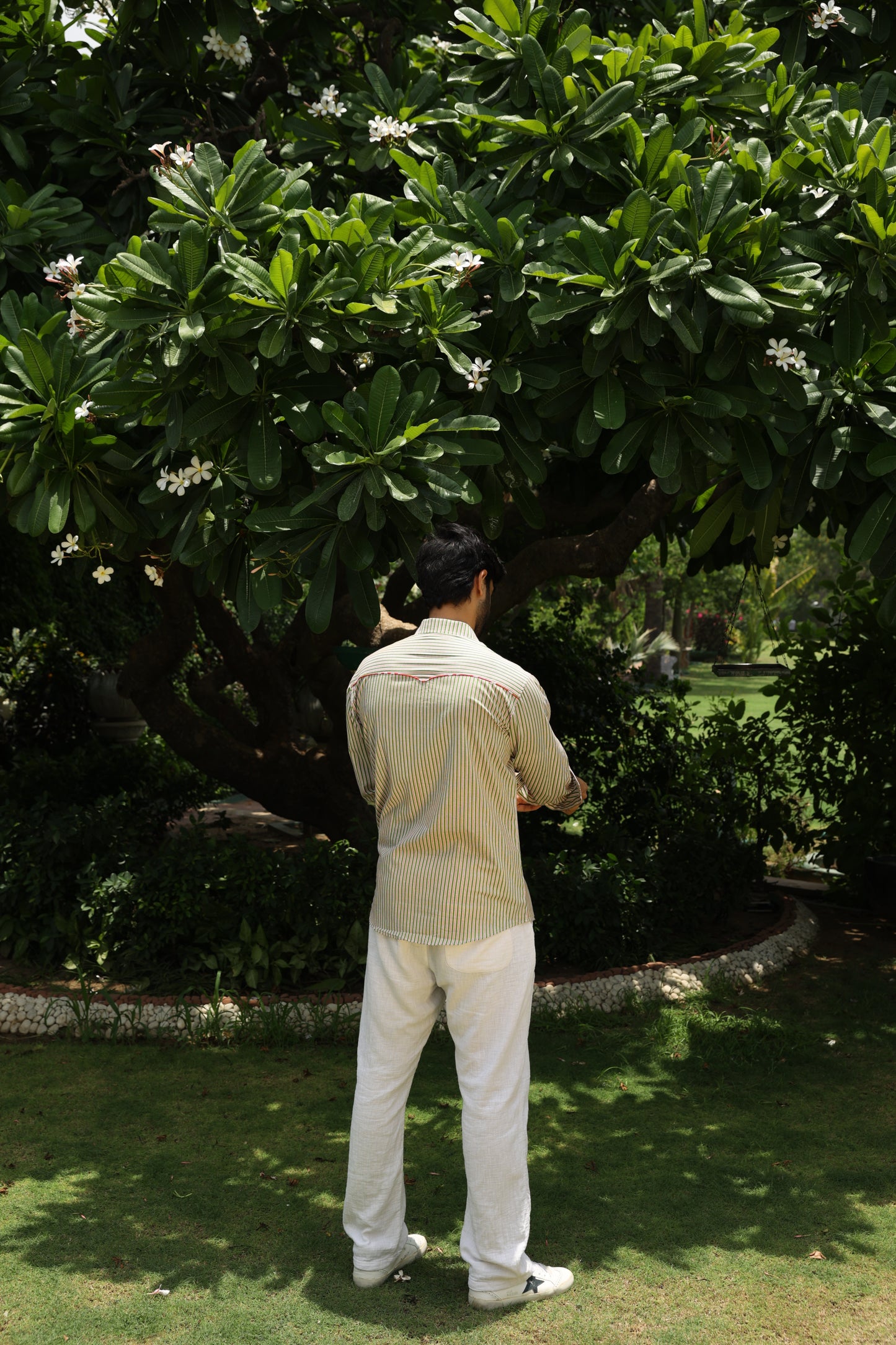 Sage Stripe Shirt